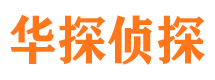 清流市私家侦探